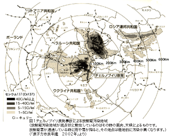 ファイル 371-3.gif